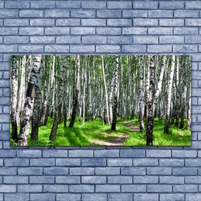 Zdjęcie na płótnie Spokój Leśnej Ścieżki