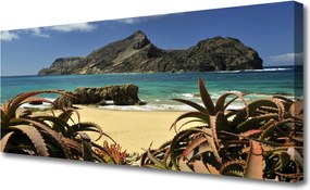 Obraz canvas Skaliste Wybrzeże Oceanu