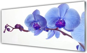 Szkło nad Blatem Letnia Kompozycja Kwiatowa