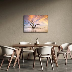 Obraz drzewa w oceanie (70x50 cm)