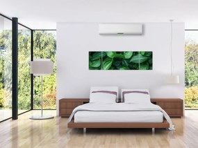 Obraz - Zielone liście (170x50 cm)