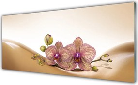 Panel Kuchenny Drzewa W Porannym Słońcu