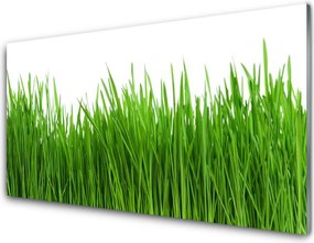 Szkło do Kuchni na Ścianę Naturalny Dywan Zieleni