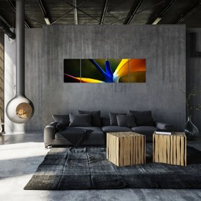 Obraz - Egzotyczny kwiat (170x50 cm)