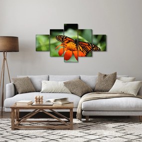 Obraz motyla na kwiatku (125x70 cm)