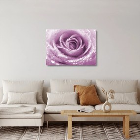 Obraz na szkle szczegółu kwiatu róży (70x50 cm)