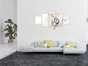 Obraz - Kotek (125x70 cm)