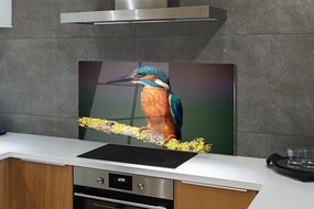 Panel szklany do Kuchni Mały Egzotyczny Ptak