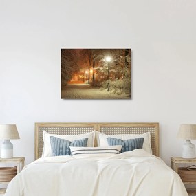 Obraz na szkle - Zaśnieżony park (70x50 cm)