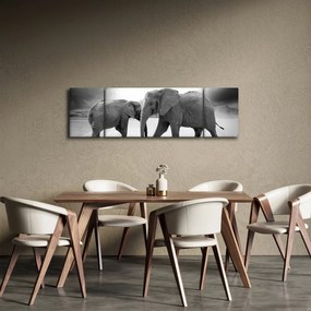 Obraz - czarno - białe słonie (170x50 cm)