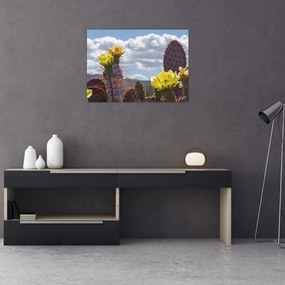 Obraz na szkle opuncji (70x50 cm)
