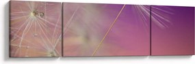 Zdjęcie szczęścia (170x50 cm)