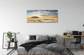 Zdjęcie na płótnie Zebry i Drzewo na Tle Chmur