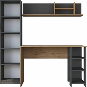 Biurko z regałem Hado Walnut and Anthracite