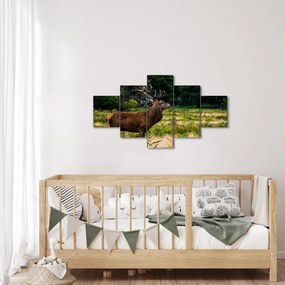 Obraz jelenia (125x70 cm)