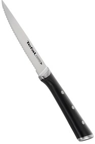 Zestaw noży ze stali nierdzewnej do steków 4 szt. Ice Force – Tefal