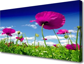 Obraz canvas Horyzont nad Kwitnącą Łąką