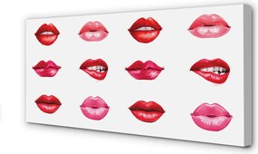 Obraz na płótnie Czerwień i Róż Ust
