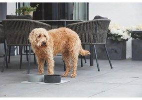 Porcelanowa miska dla psów ø 20 cm Scodella Cement M/L – MiaCara