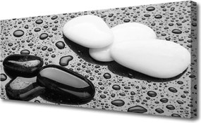 Obraz na płótnie Deszcz na Gładkich Kamieniach