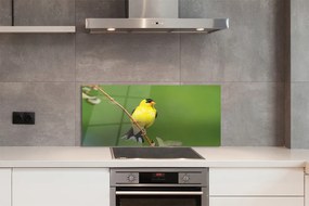 Panel Kuchenny Szklany Słoneczna Żółta Papuga