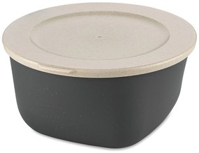 Pojemnik na żywność CONCEPT, hermetyczny, 2 l, KOZIOL