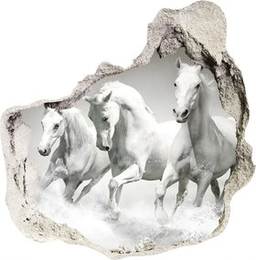 Dziura 3d fototapeta na ścianę Białe konie