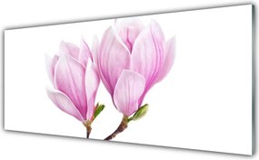 Panel nad blat kuchenny Botaniczne Piękno Kwiatu