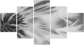 Obraz - Mlecz (125x70 cm)