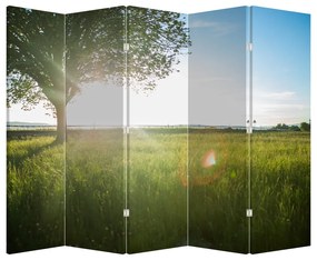 Parawan - Letnia łąka (210x170 cm)