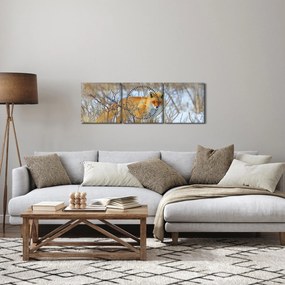 Obraz - Lis (z zegarem) (90x30 cm)