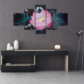 Obraz różowego kwiatu (125x70 cm)