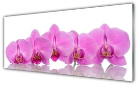 Obraz Akrylowy Różowa Orchidea Kwiaty