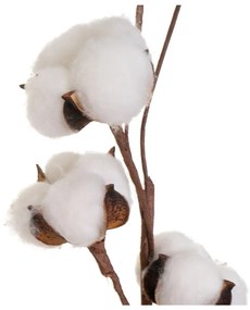 Suszona roślina (wysokość 55 cm) Cotton – Casa Selección