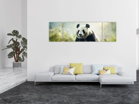 Obraz - Panda (170x50 cm)