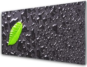 Szkło do Kuchni na Ścianę Rosa Na Młodym Liściu