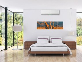 Obraz - Żyrafy na pastwisku (170x50 cm)