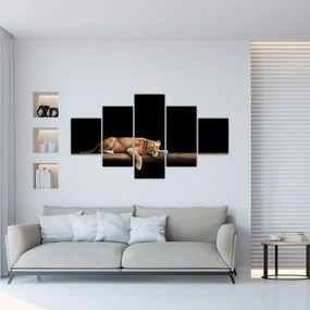 Obraz - Lwica (125x70 cm)