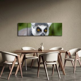 Obraz lemura (170x50 cm)