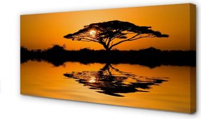 Obraz drukowany na płótnie Drzewo o Zachodzie Słońca