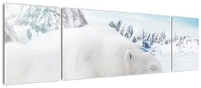 Obraz - Niedźwiedź polarny (170x50 cm)