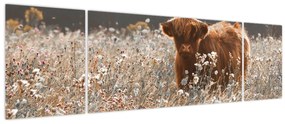 Obraz - Szkocka krowa w kwiatach (170x50 cm)