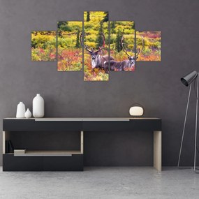 Obraz - Renifer tundrowy (125x70 cm)