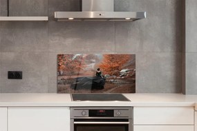 Szklany Panel Kobieta w Jesiennych Górach