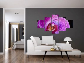 Zbliżenie kwiatu orchidei (125x70 cm)