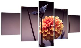 Obraz - Kwiat (125x70 cm)