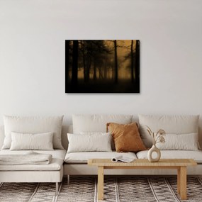 Obraz - Ciemny las (70x50 cm)