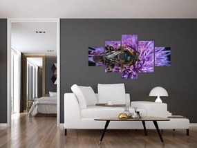 Obraz pszczoły na kwiatku (125x70 cm)