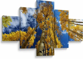 Obraz - Aspen (125x70 cm)