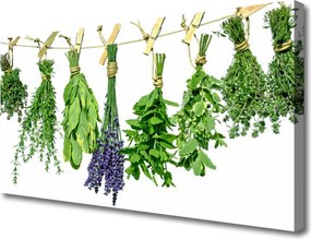 Obraz canvas na ścianę Płatki Ziół i Kwiatów